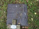 image of grave number 845356